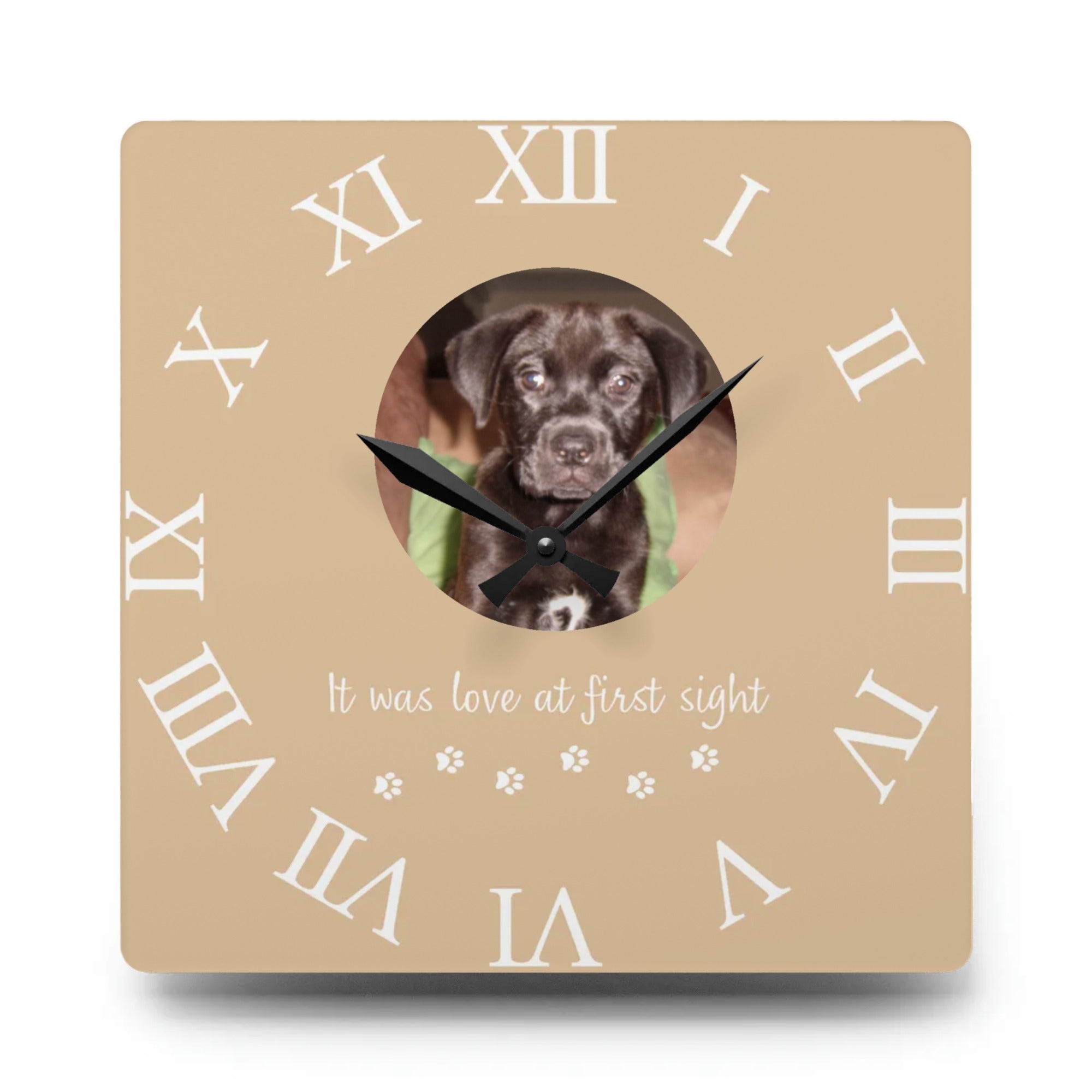 Love at First Sight Pet Wall Clock