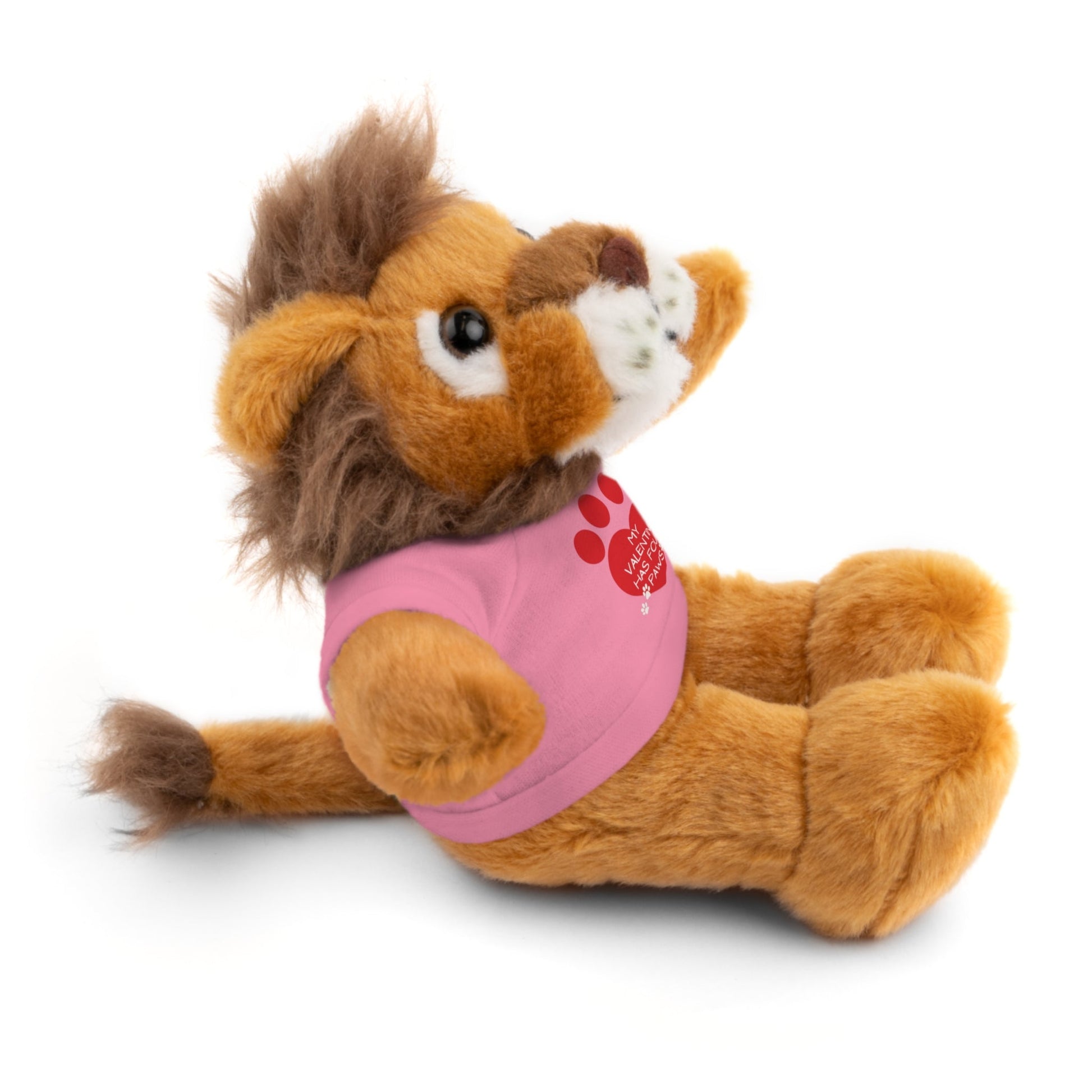 My Valentine Stuffed Animals - Accessories