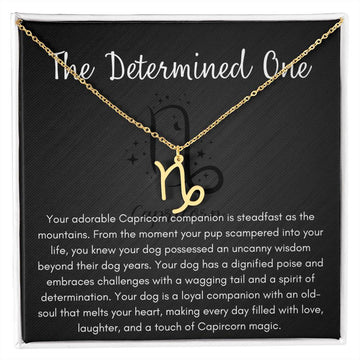 The Determined One, Capricorn Necklace